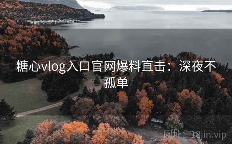 糖心vlog入口官网爆料直击:深夜不孤单 糖心vlog入口官网爆料直击:深夜不孤单