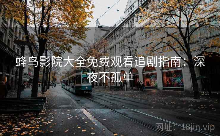 蜂鸟影院大全免费观看追剧指南：深夜不孤单