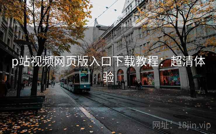 p站视频网页版入口下载教程：超清体验